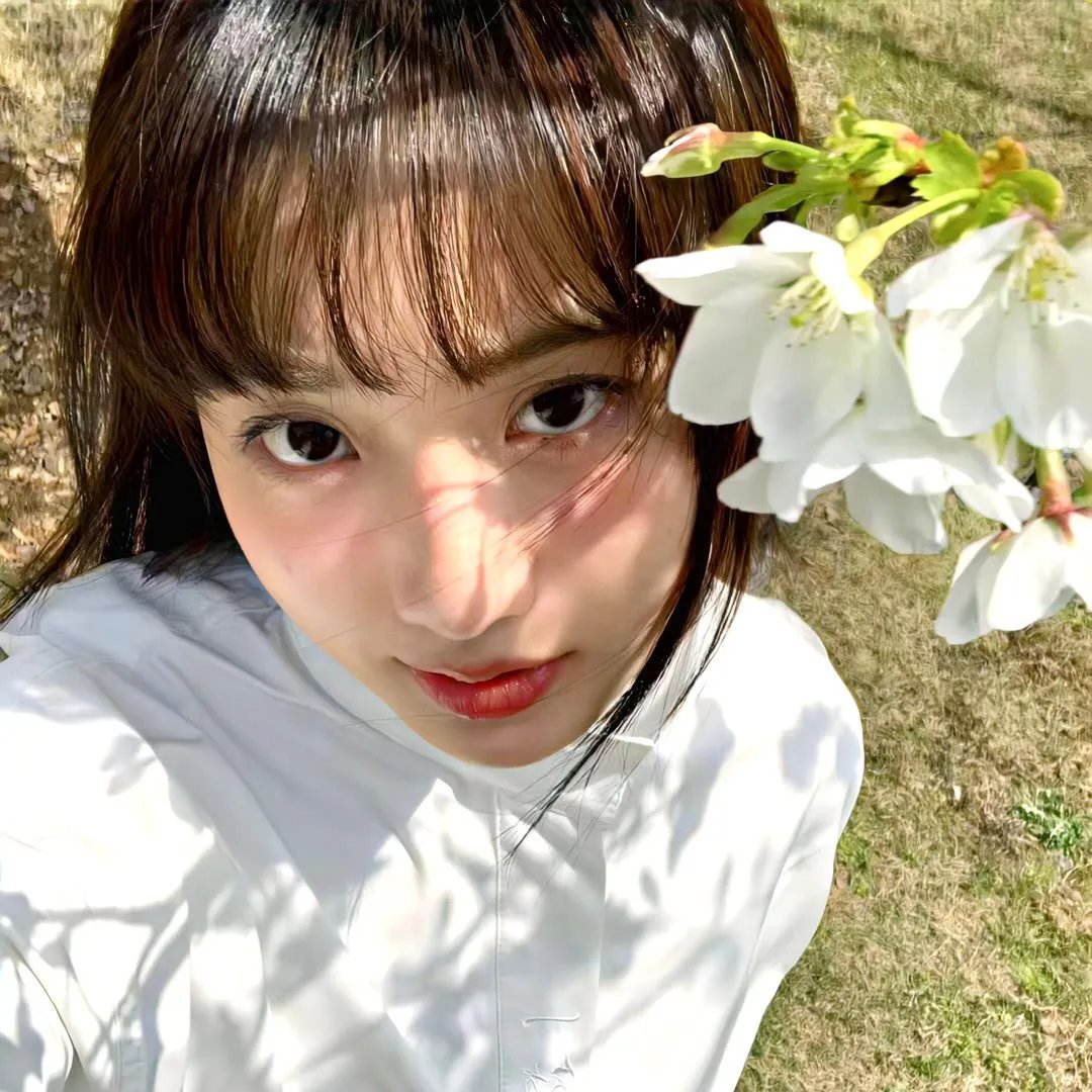 堕落花